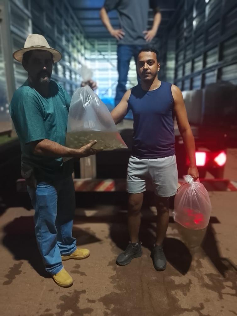 Imagem principal da Notícia
